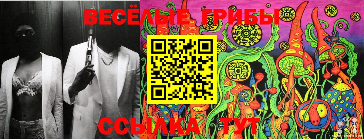 Каменка  Псилоцибиновые грибы Cubensis  Вход с VPN 
