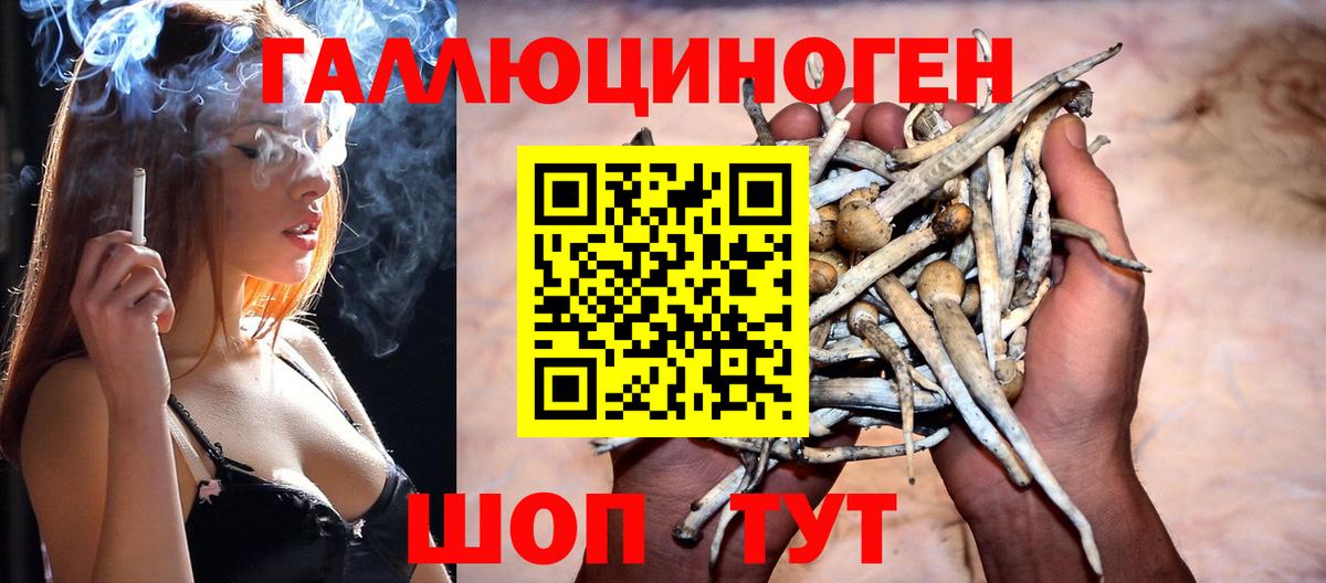 Псилоцибиновые грибы ЛСД Каменка